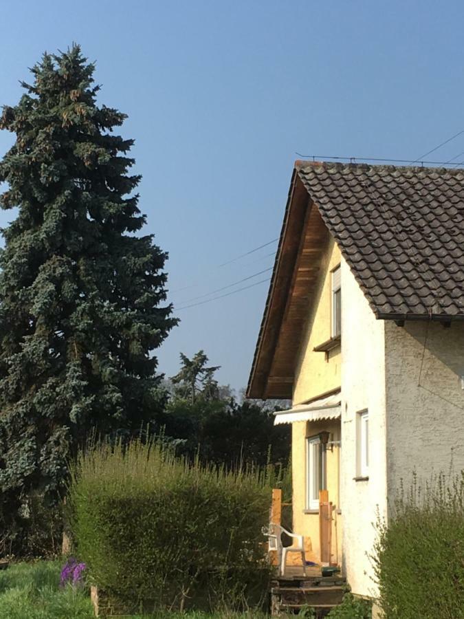 Riedwiesen Bad Rappenau Exteriér fotografie